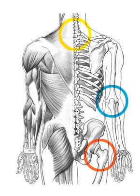 Osteotherapie