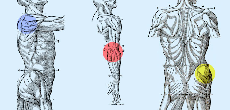 Physiotherapie
